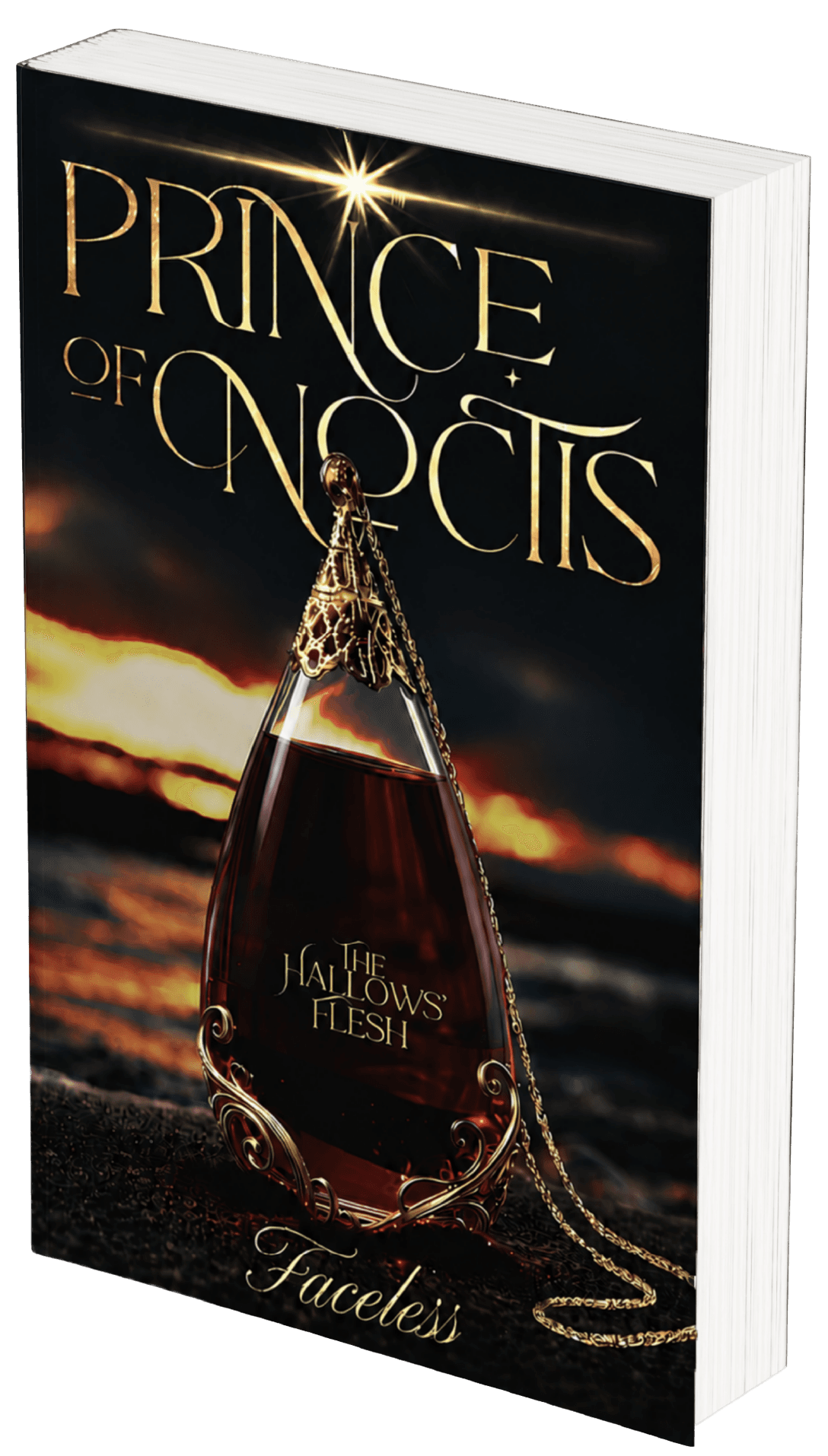 Prince of Noctis Paperback Edition
